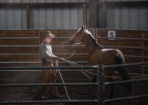 "Solving the Spook" Evan Bonner Horsemanship Clinic @ Olympic Glen Arena | Port Orchard | Washington | United States