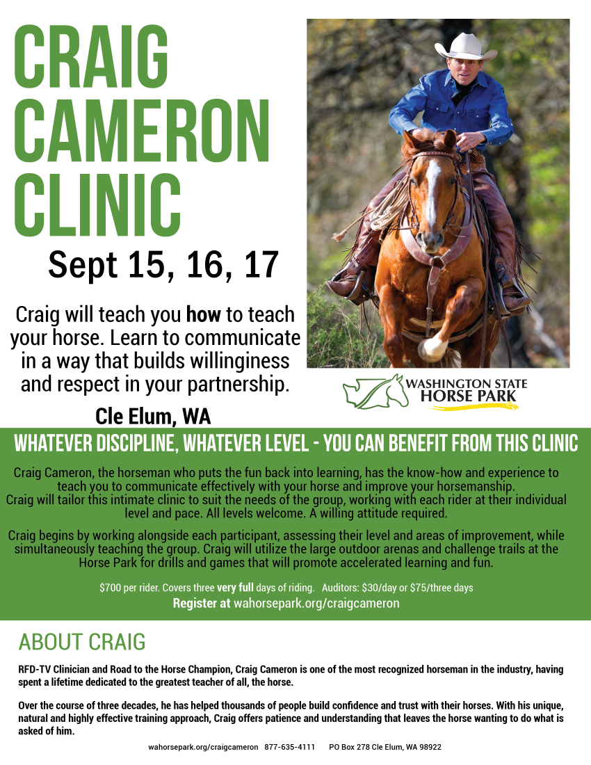 NW Equine Explore our website to find all things horserelated in the